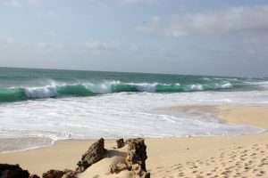 Cap Vert Ile de Boavista