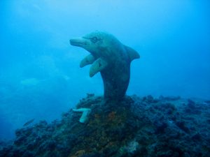 dolphin medes
