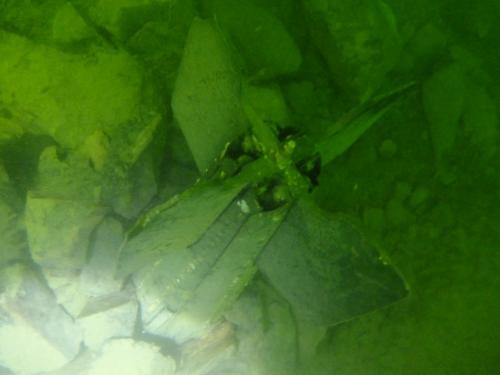 thumb_DSCF4595_1024
