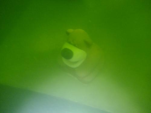 thumb_DSCF4604_1024