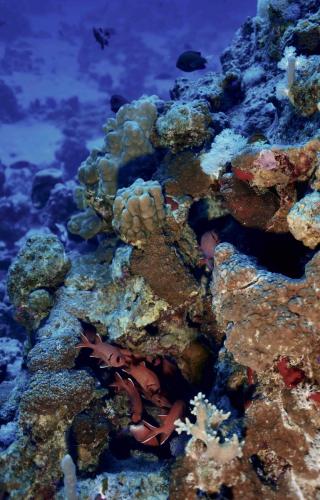 photo25A