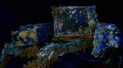 photo 10 (1)