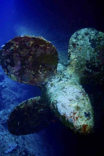 photo 25 (1)