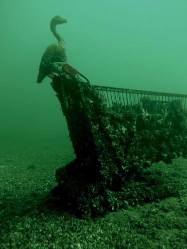 sorties-diving-school-louvain-la-neuve